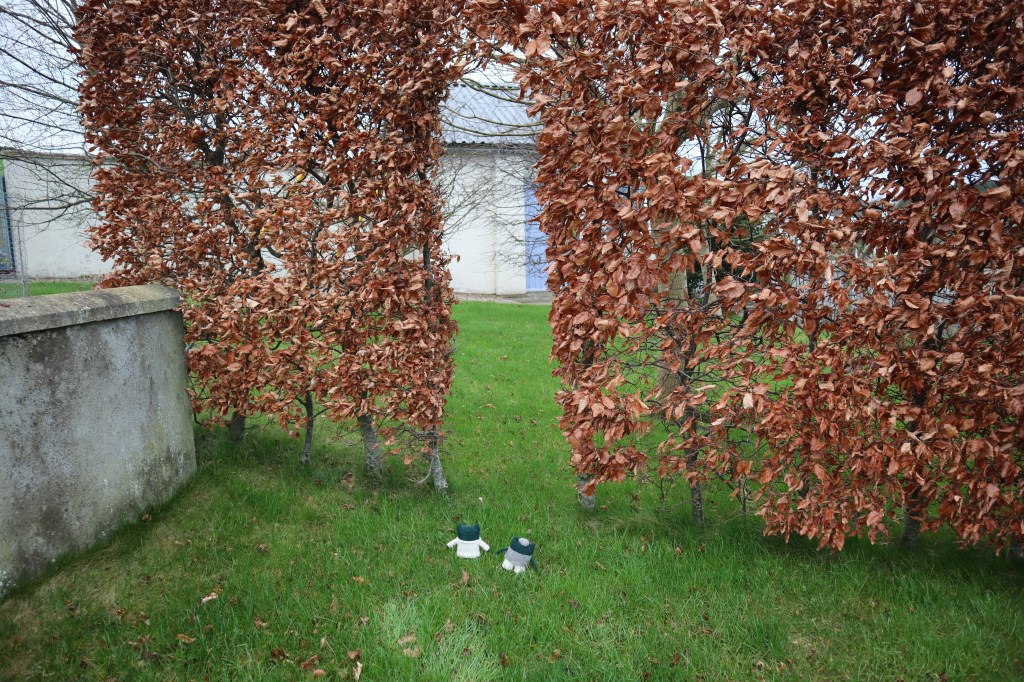 Through the Archway - CrawCrafts Beasties