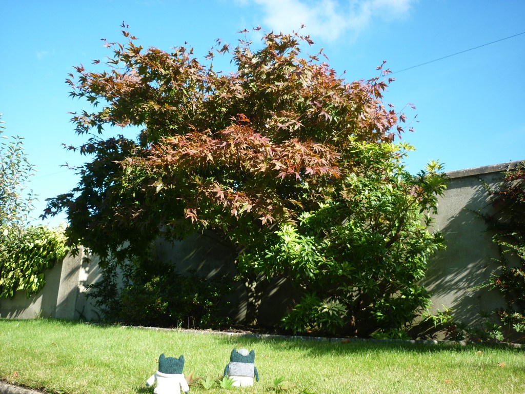 October Leaves - Paddy and Plunkett - H Crawford/CrawCrafts Beasties