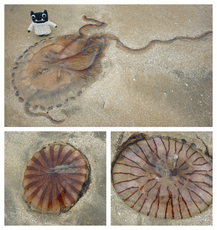 Paddy and the Jellyfish - H Crawford/CrawCrafts Beasties