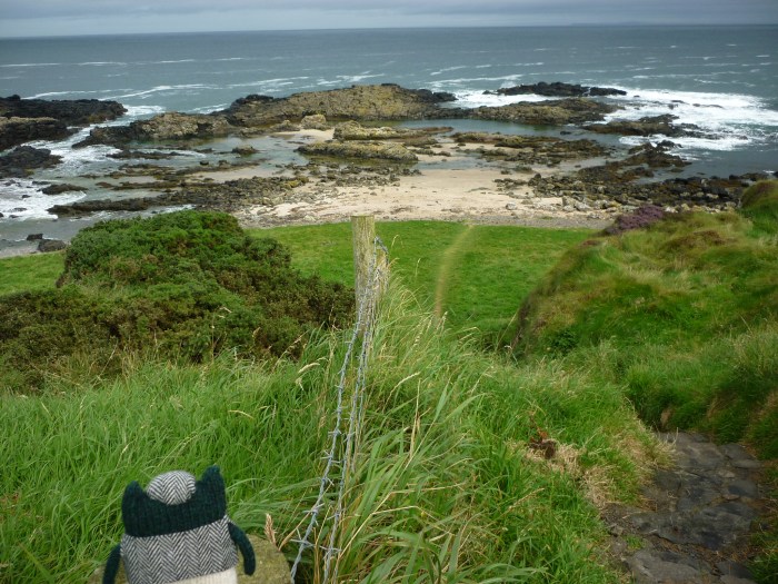 Plunkett and the Pool - North Antrim Coast - H Crawford/CrawCrafts Beasties