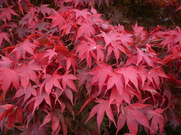 Red October Leaves - H Crawford/CrawCrafts Beasties