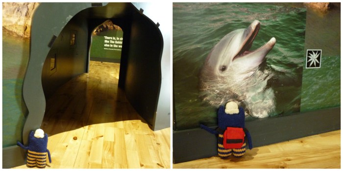 In the Gobbins Visitor Centre - CrawCrafts Beasties