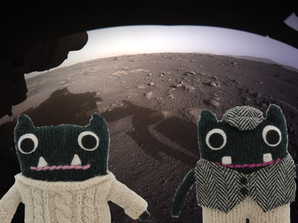 Perseverance Portrait - Paddy and Plunkett