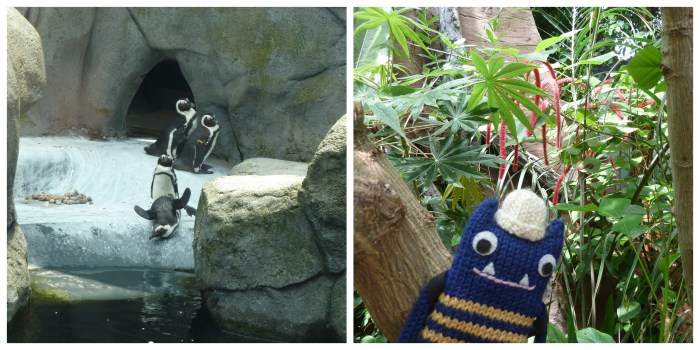 Penguins and the Tropical Forest - Aquazoo - CrawCrafts Beasties
