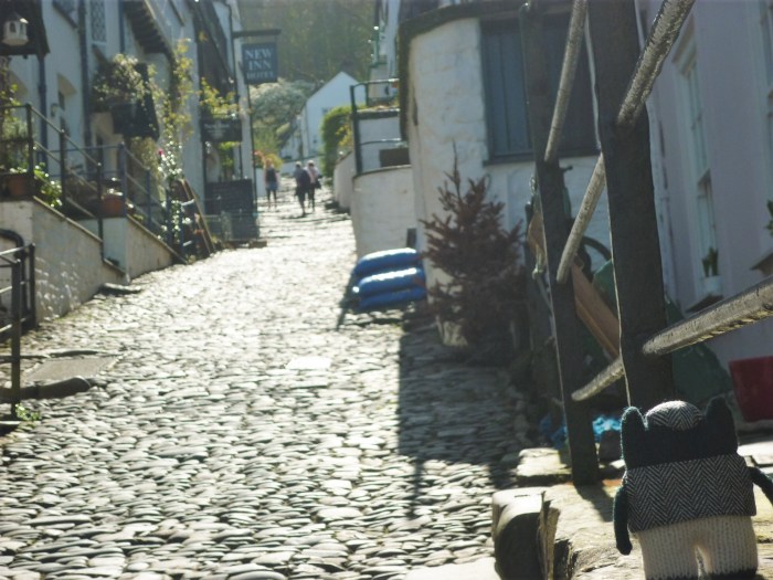 Plunkett admiring the Clovelly Cobbles - H Crawford/CrawCrafts Beasties