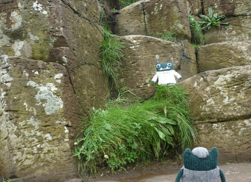 Paddy at the Giant's Causeway - H Crawford/CrawCrafts Beasties