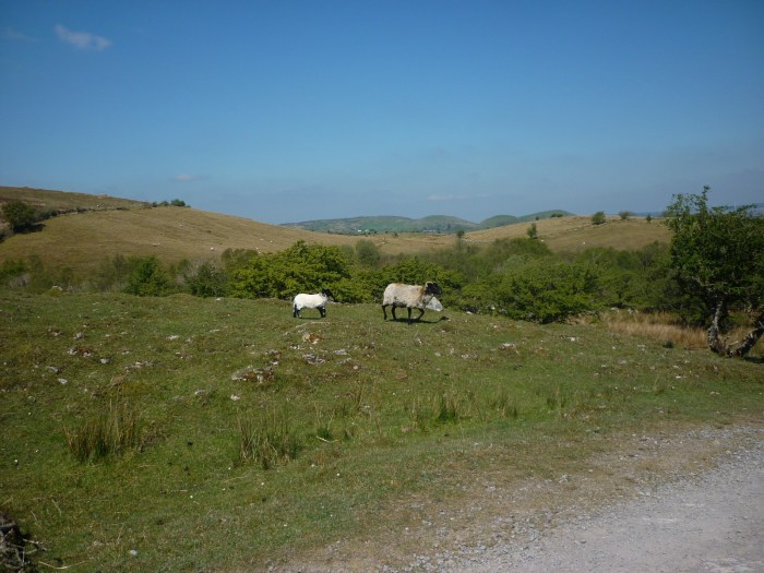 Distant Beastie Relatives! H Crawford/CrawCrafts Beasties