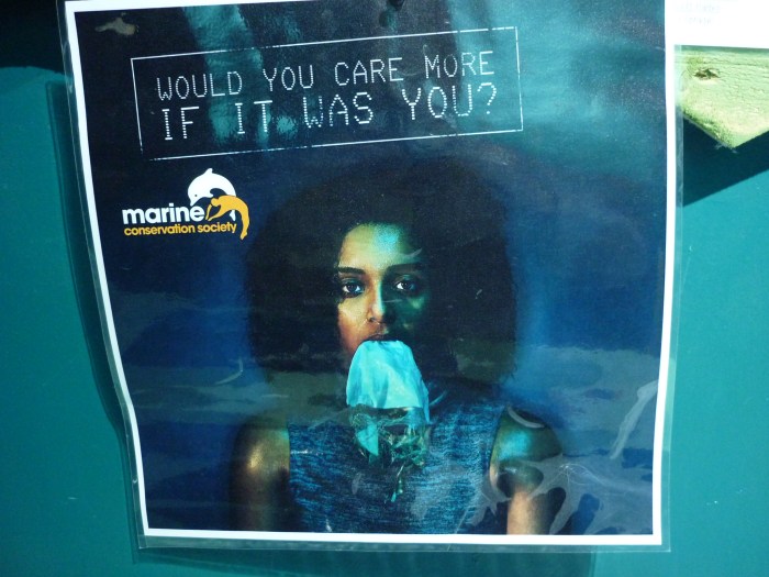 Uh-oh! Plastic! H Crawford/CrawCrafts Beasties