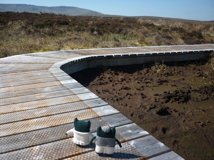 Paddy and Plunket on the Boardwalk at Cuilcagh Mountain - H Crawford/CrawCrafts Beasties