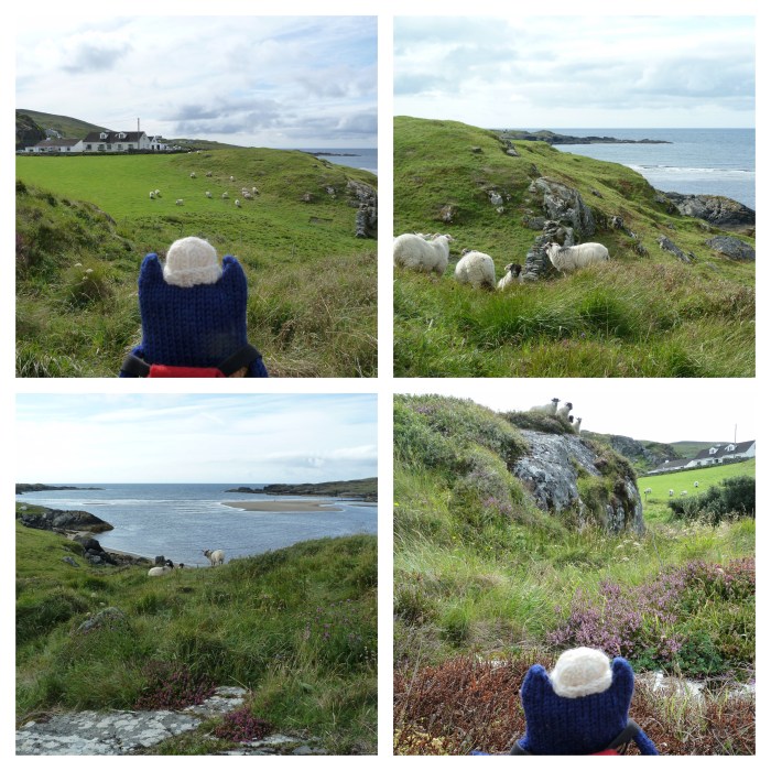 Sheep at Glencolmcille - CrawCrafts Beasties