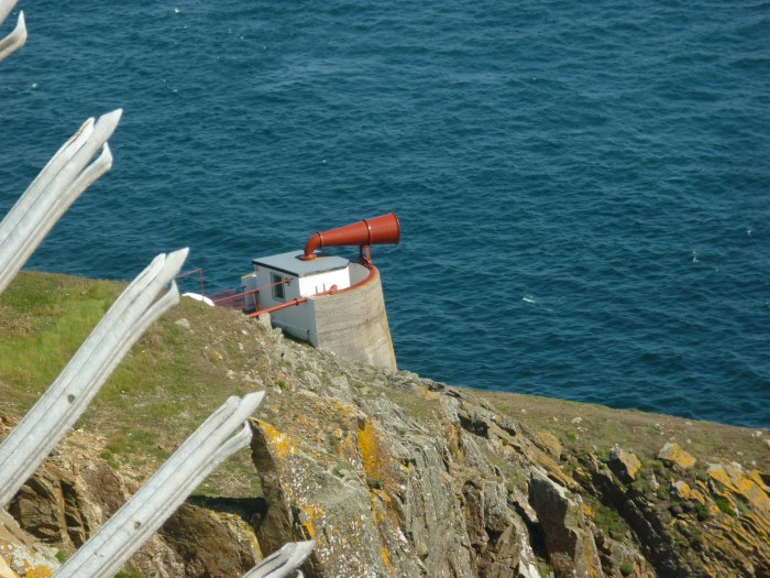 Foghorn - H Crawford/CrawCrafts Beasties