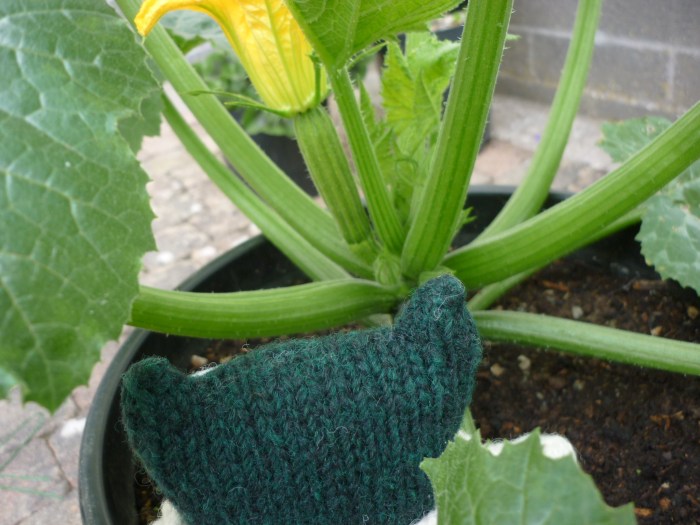 Not ready to harvest yet - H Crawford/CrawCrafts Beasties