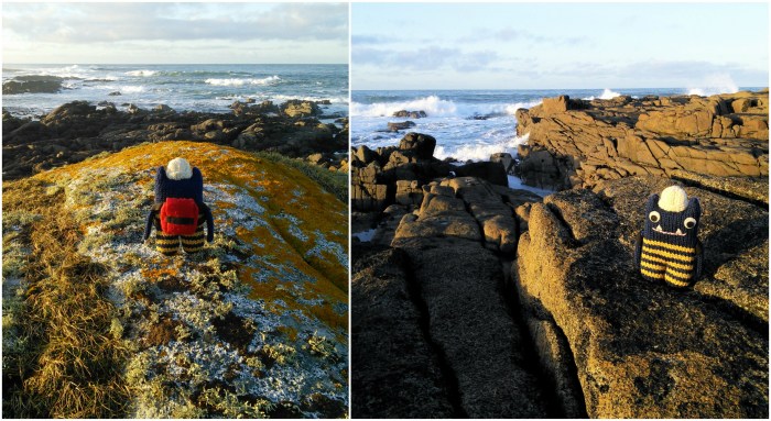 Surf's Up, Explorer Beastie! CrawCrafts Beasties