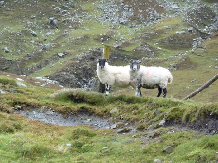 Pre-Beasties! CrawCrafts Beasties