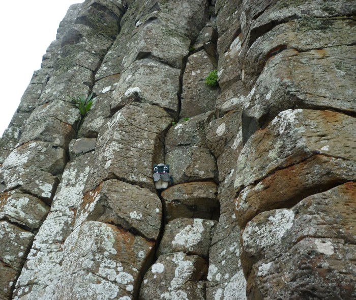 Plunkett Up Close with the Giant's Causeway - H Crawford/CrawCrafts Beasties