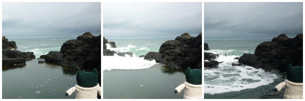 Paddy Watches the Waves - H Crawford/CrawCrafts Beasties