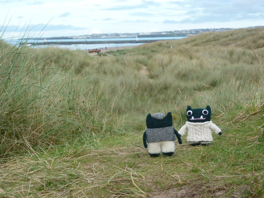 Paddy and Plunkett at Castlerock Beach - H Crawford/CrawCrafts Beasties