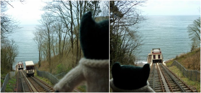 Paddy Photobomb 2 - H Crawford/CrawCrafts Beasties