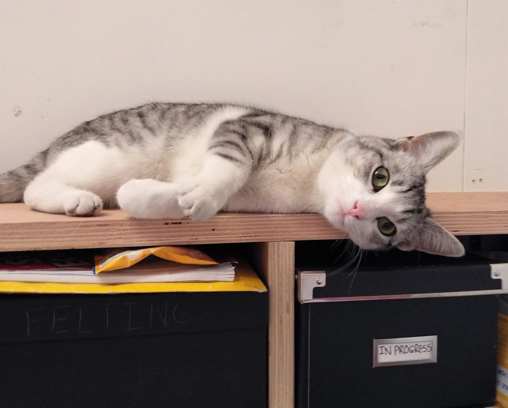 Ophelia - Studio Kitty - CrawCrafts Beasties