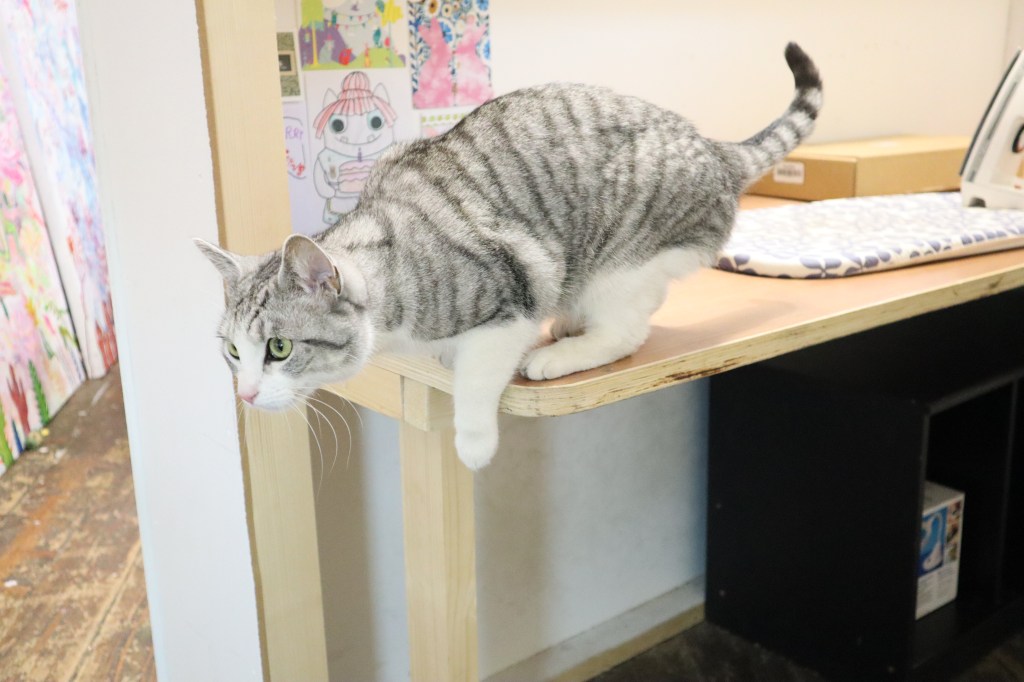 Ophelia the Studio Kitty - CrawCrafts Beasties