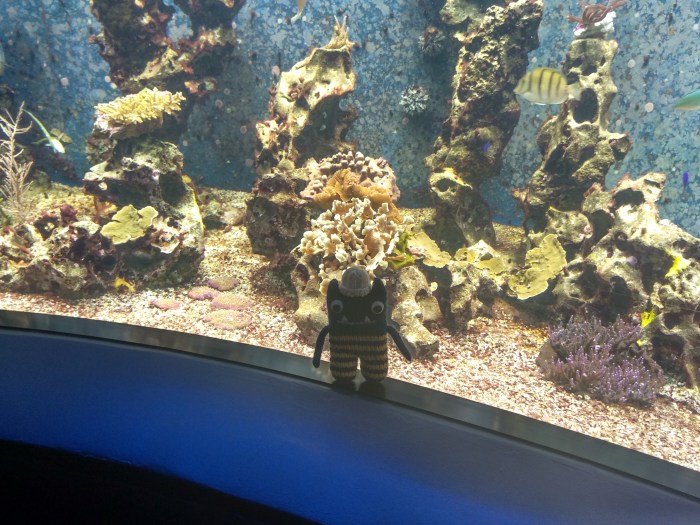 Diving on the Coral Reef - CrawCrafts Beasties