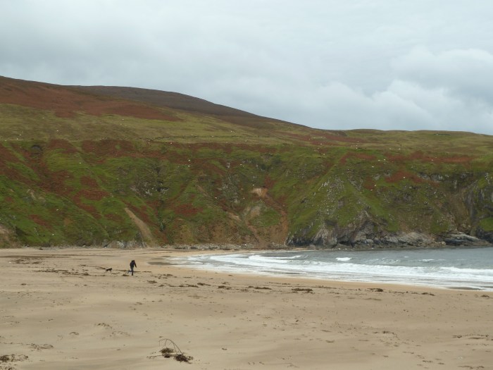 Lots of Sand at Silver Strand! CrawCrafts Beasties