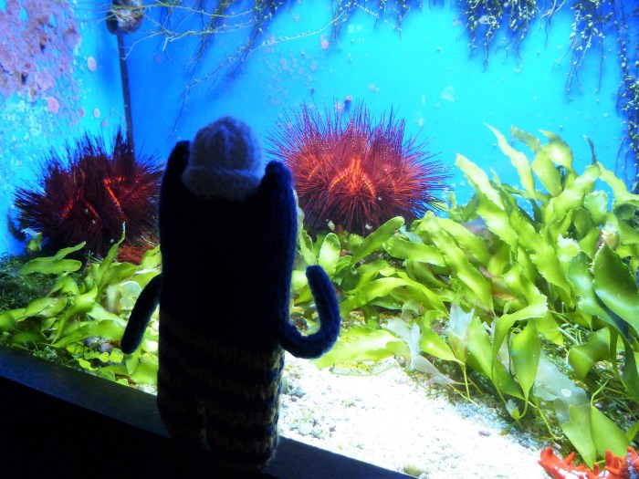 Prickly Situation for Explorer Beastie at Aquazoo - CrawCrafts Beasties, Beastie HQ