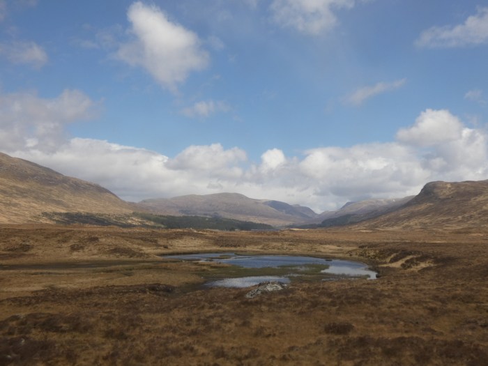 Rannoch Moor - Scotland Trains - H Crawford/CrawCrafts Beasties